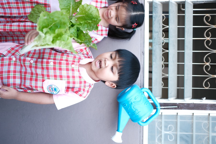 กิจกรรมกลางแจ้ง: นักเรียนอนุบาลปลูกผักและรดน้ำในสวนของโรงเรียน
